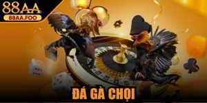 Đá Gà Chọi