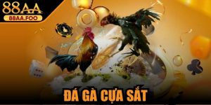 Đá́ Gà Cựa Sắt