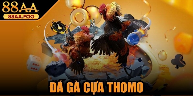 Đá Gà Cựa Thomo